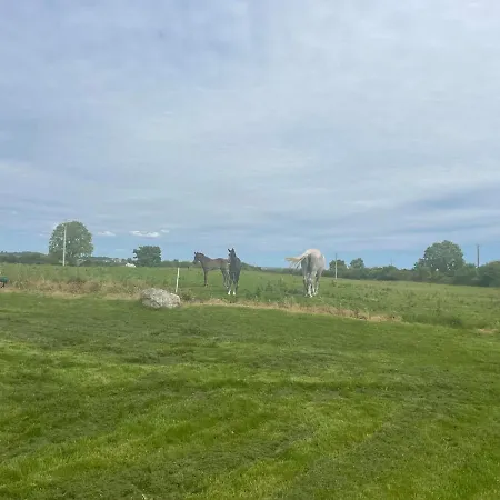 Hébergement de vacances Corrandulla 2 Storey Home-3 Bedrooms Galway