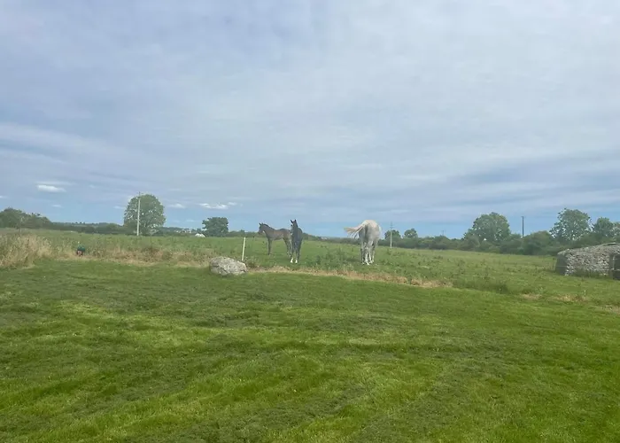 度假居 Corrandulla 2 Storey Home-3 Bedrooms 戈尔韦